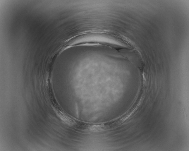 X0000082761161200702162018