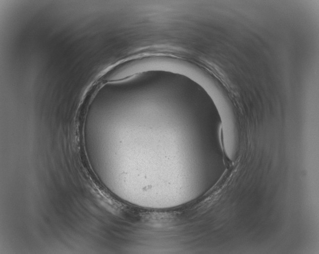 X0000082761164200702162018