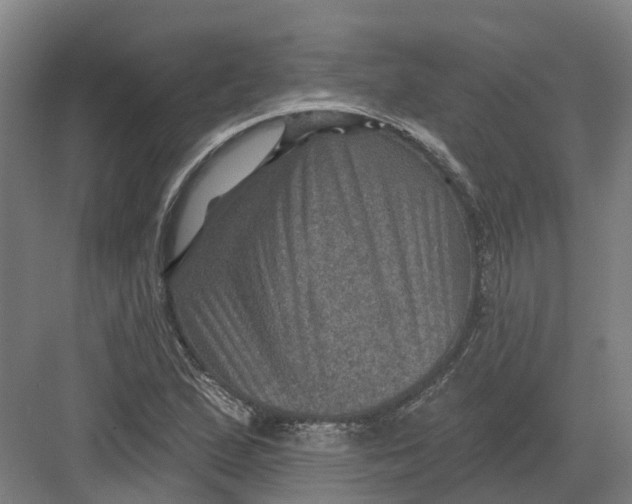 X0000082761167200702162018