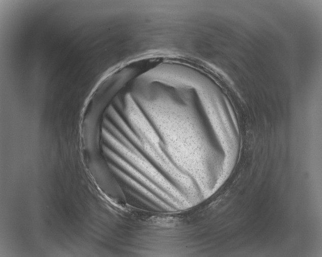 X0000082761168200702162018