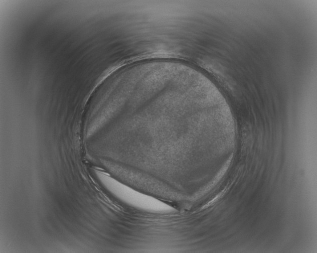 X0000082761170200702162018