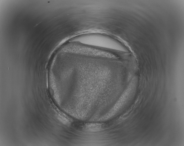 X0000082761171200702162018