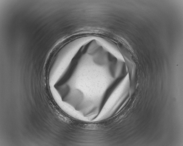 X0000082761172200702162018