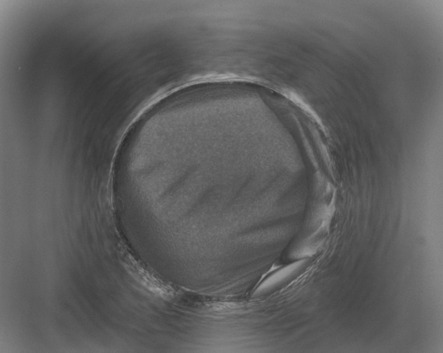 X0000082761173200702162018