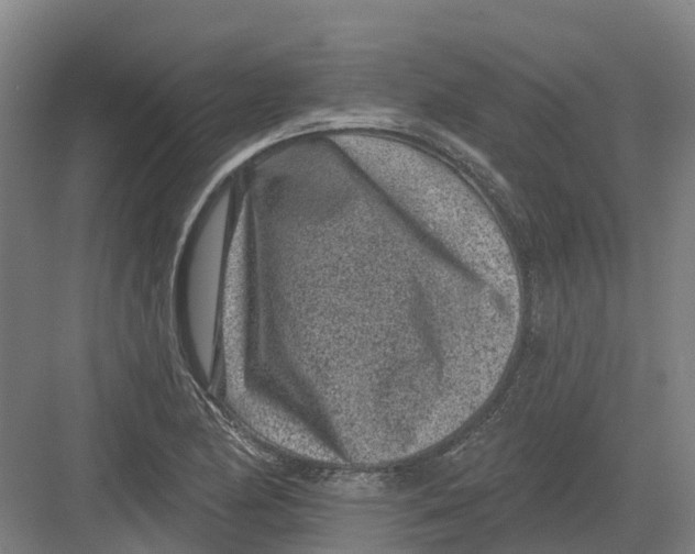 X0000082761174200702162017