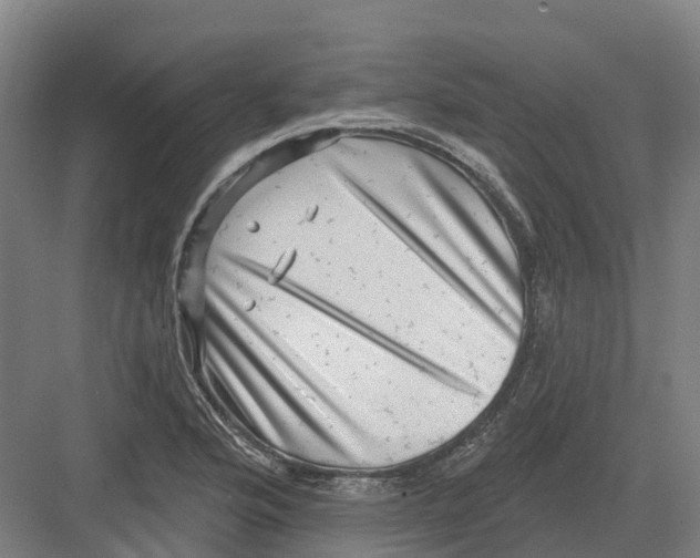 X0000082761176200702162017