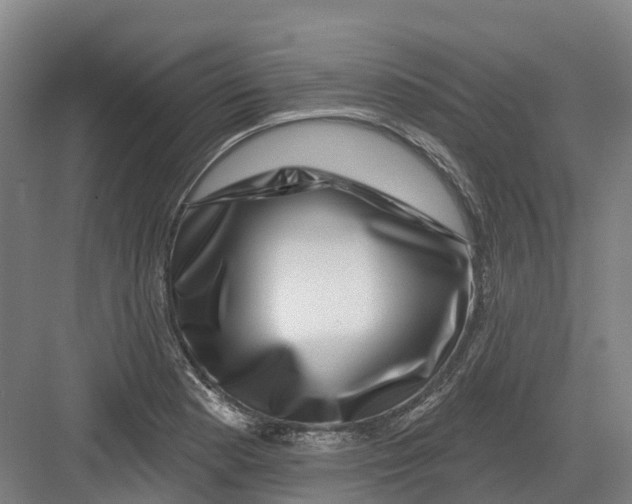 X0000082761177200702162017