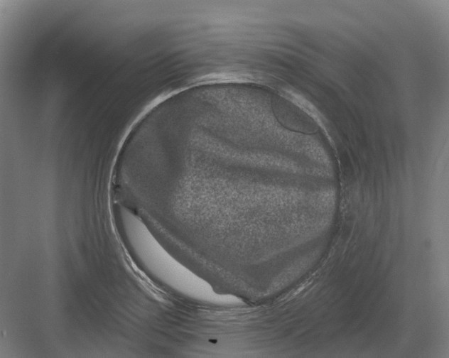 X0000082761179200702162017