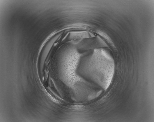 X0000082761180200702162017