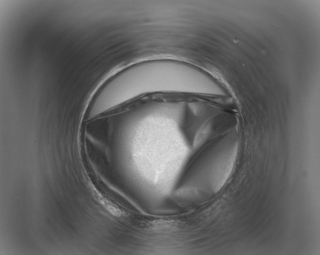 X0000082761181200702162017