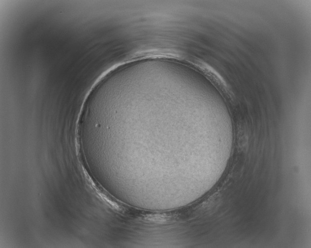 X0000082761182200702162017