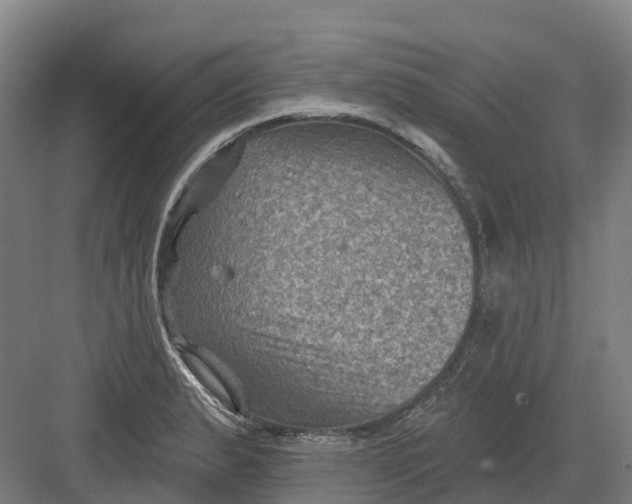 X0000082761183200702162017