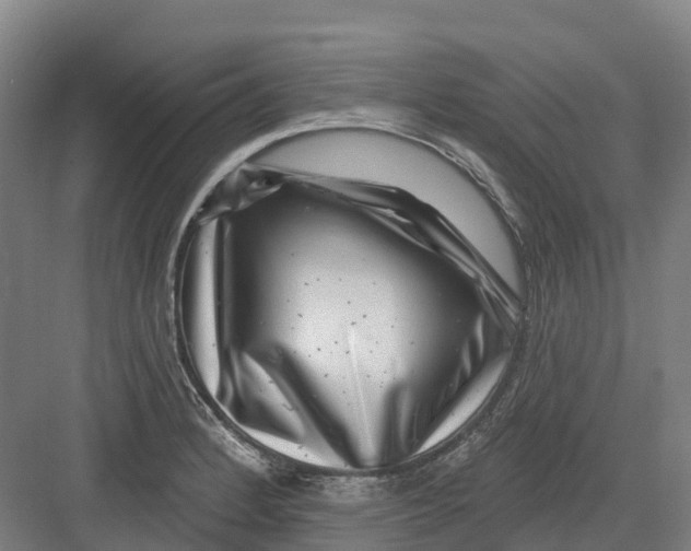 X0000082761184200702162017