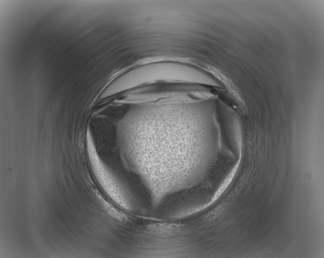 X0000082761185200702162017