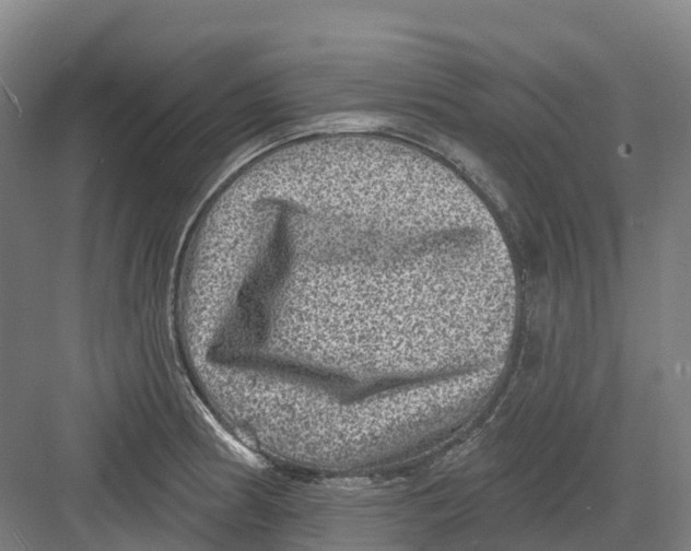 X0000082761186200702162017