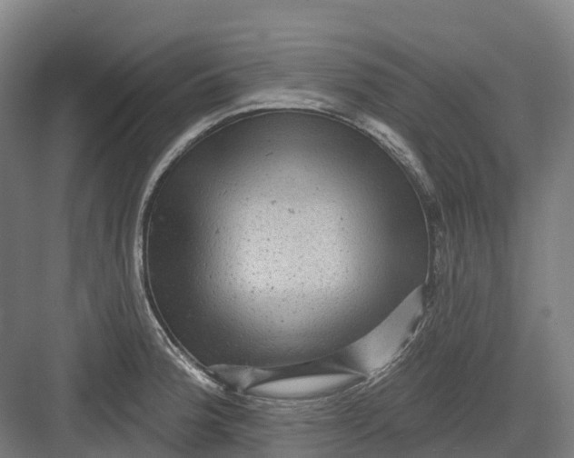 X0000082761188200702162017