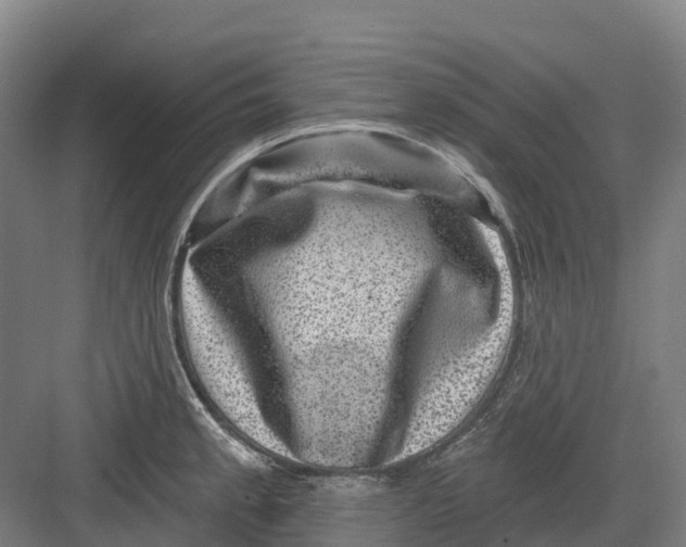 X0000082761189200702162017