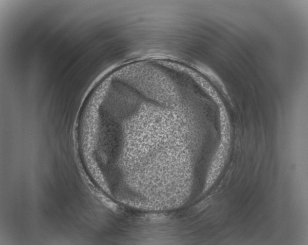 X0000082761190200702162017