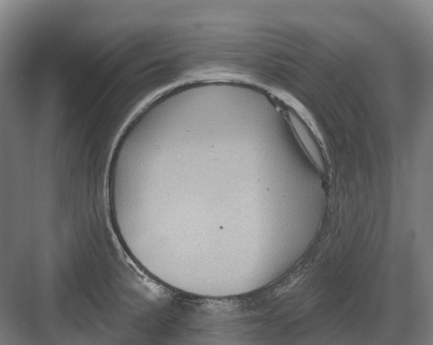 X0000082761191200702162017