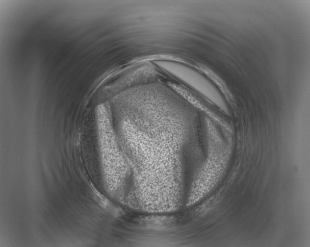 X0000082761193200702162017