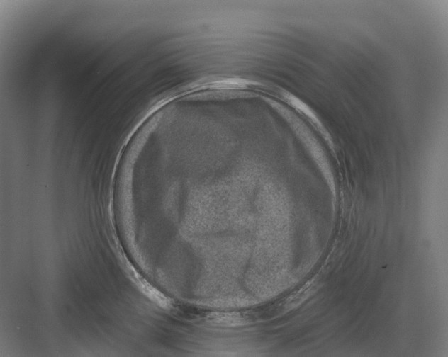 X0000082761194200702162017