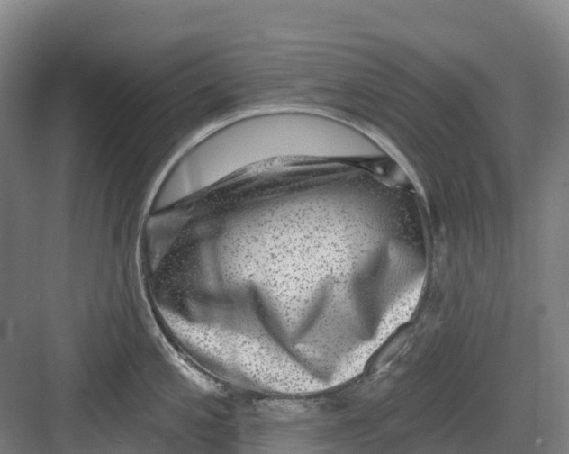 X0000082761197200702162017