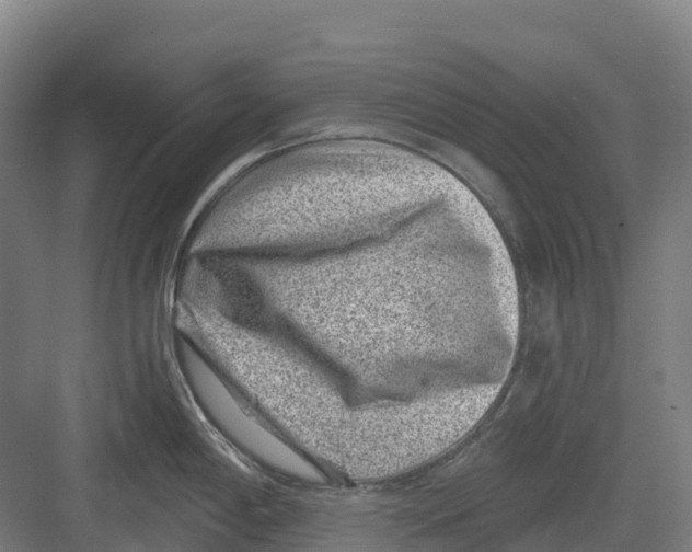 X0000082761198200702162017