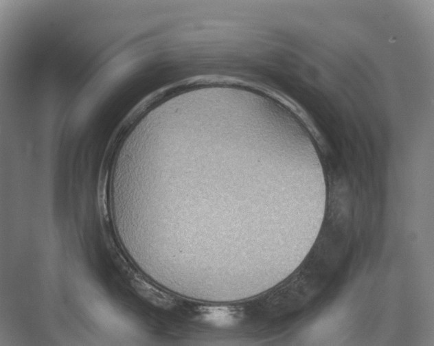 X0000082761199200702162017