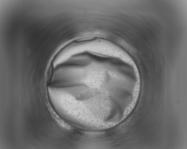 X0000082761200200702162017