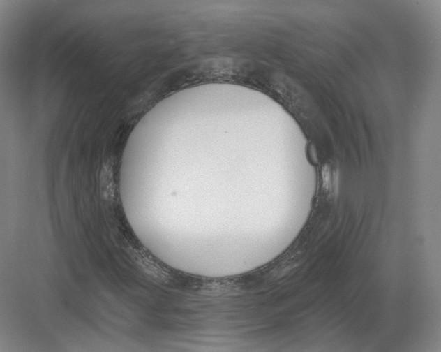 X0000082761203200702162016