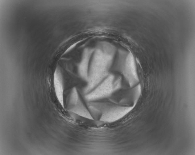 X0000082761206200702162016