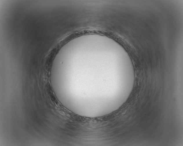 X0000082761207200702162016