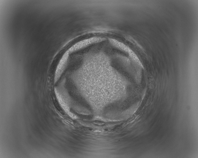 X0000082761208200702162016