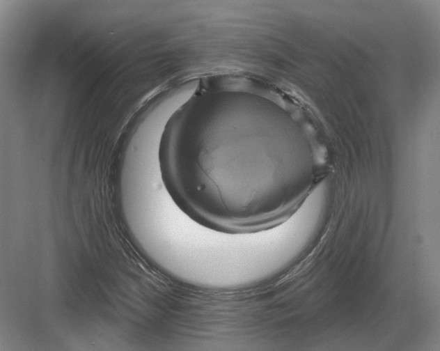 X0000082761210200702162016