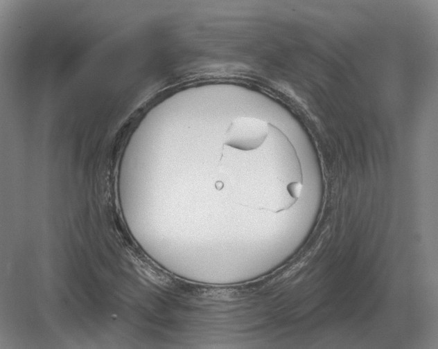 X0000082761211200702162016