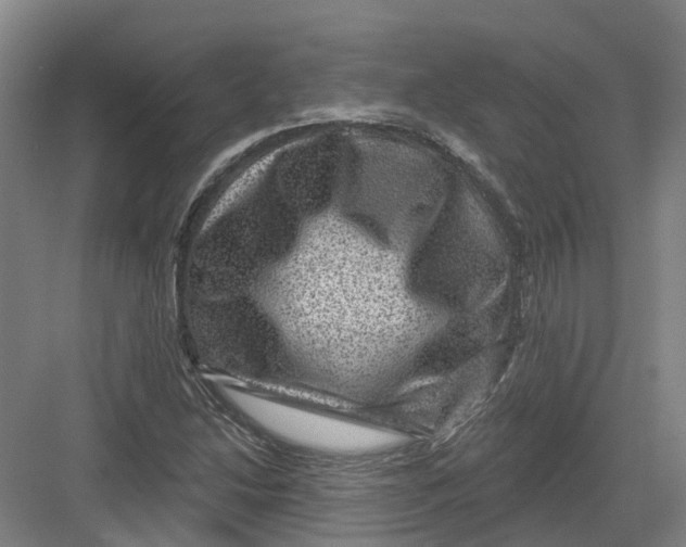 X0000082761214200702162016