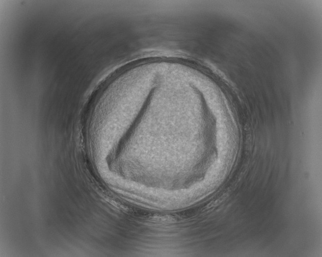 X0000082761215200702162016