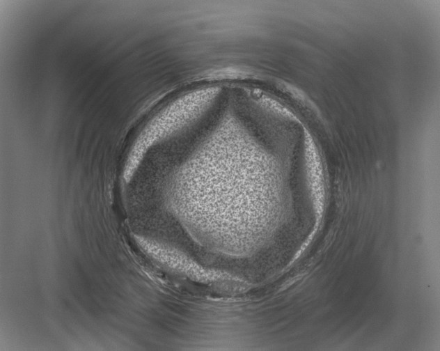 X0000082761217200702162017