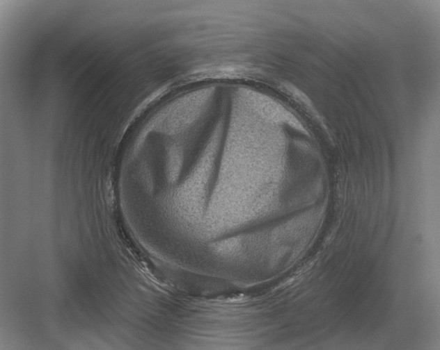 X0000082761218200702162017