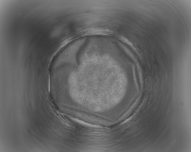 X0000082761219200702162017