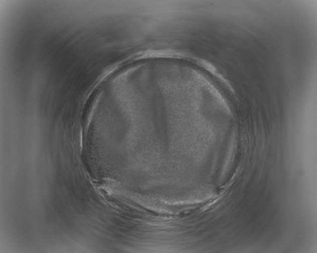 X0000082761221200702162017