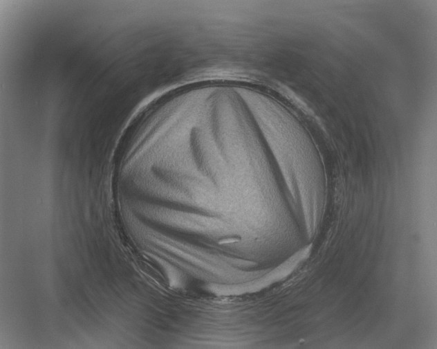 X0000082761222200702162017