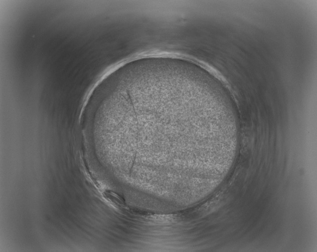 X0000082761223200702162017