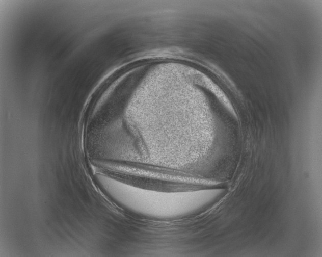 X0000082761224200702162017