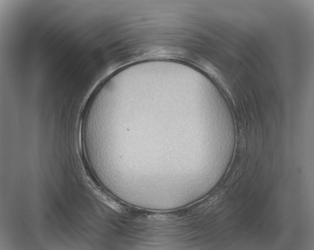 X0000082761227200702162017