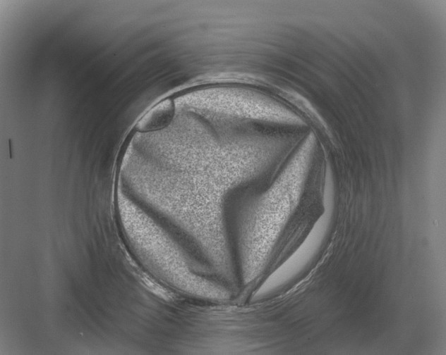 X0000082761228200702162017