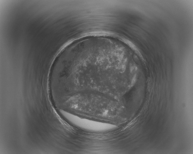 X0000082761229200702162017