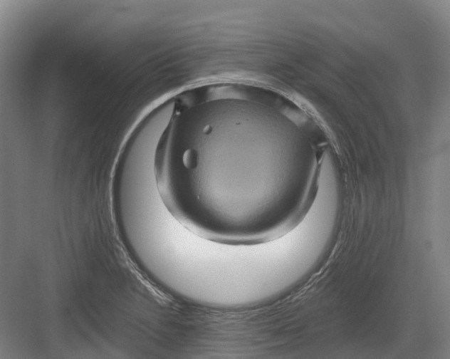 X0000082761230200702162017