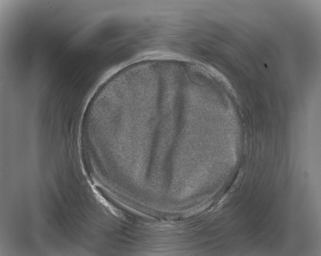 X0000082761231200702162017