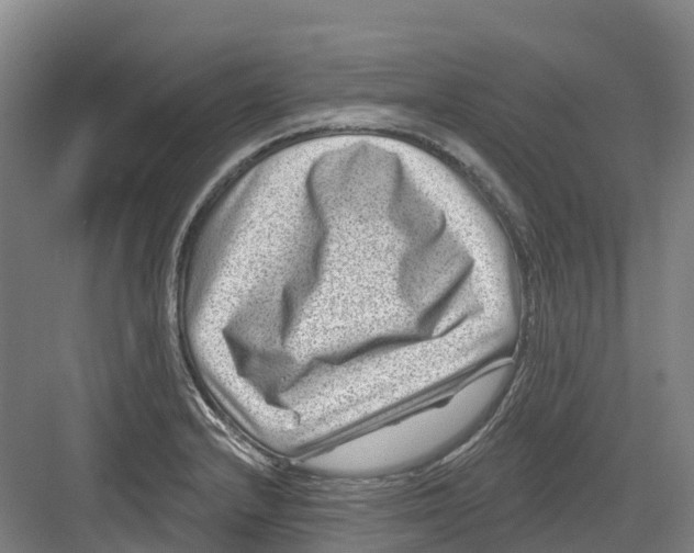 X0000082761232200702162017